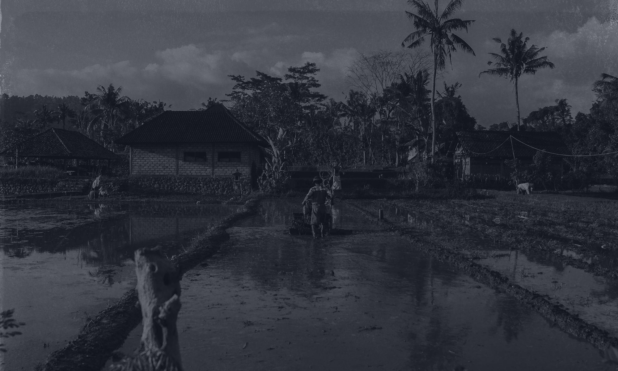 Agricultural Setting Agricultural Setting